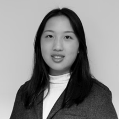 Anne Dai, Accountant at Tandem Innovation Group's Consulting Firm.